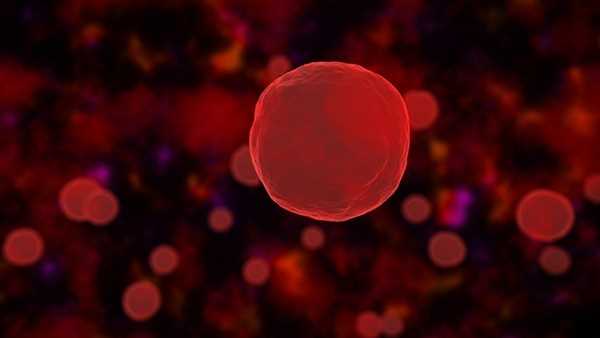 尿液有白细胞和红细胞是怎么回事