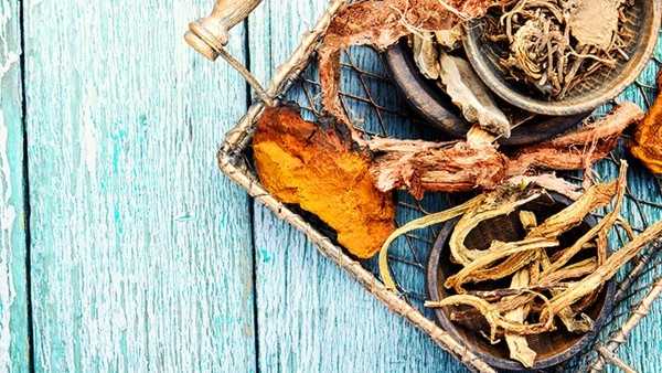 牡蛎鹿鞭片的功效与作用及食用方法是什么