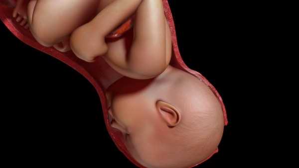 孕妇TSH4.97会不会对胎儿有影响