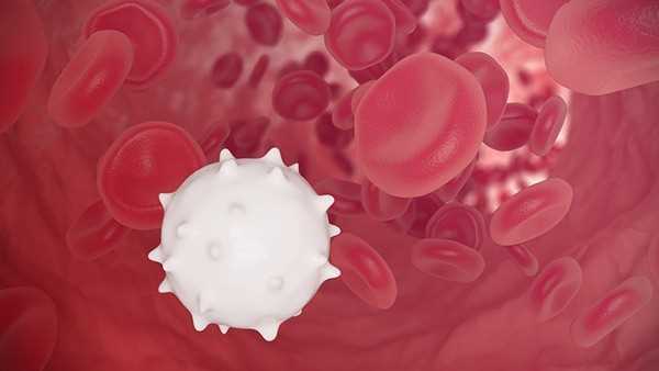 尿成分分析红细胞高的原因是什么