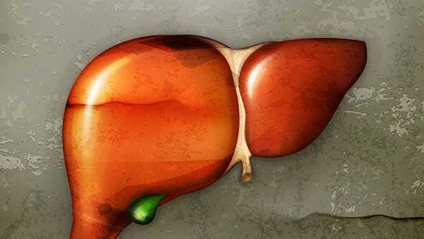 脂肪肝会导致乙肝表面抗原阳性吗