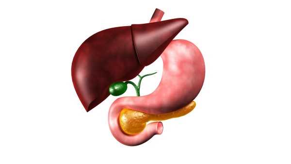 总胆红素和直接胆红素的区别是什么