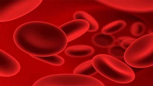 抗红细胞不规则抗体筛查阴性