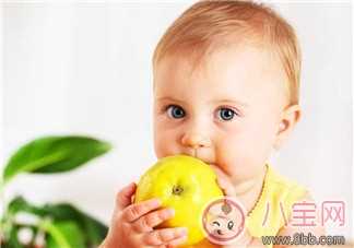 6个月宝宝如何补充所需的营养  6个月宝宝怎么摄取足够的营养
