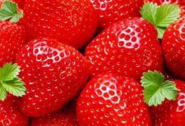 孕妇可以吃草莓吗 孕妇吃草莓有哪些注意事项