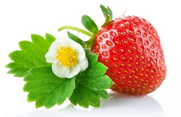 孕妇吃草莓有什么好处 孕妇吃草莓的注意事项