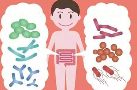 宝宝长期吃益生菌会不会有依赖 长期吃益生菌会不会有依赖性