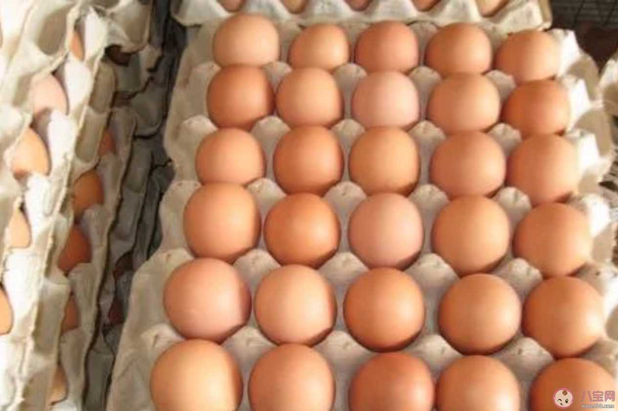 买鸡蛋要看品牌吗 买鸡蛋要怎么挑选
