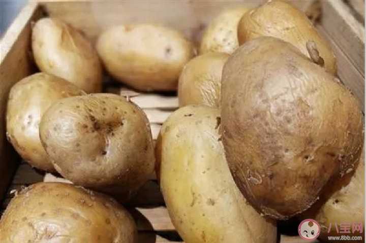土豆发芽了还能吃吗 吃了发芽的土豆会中毒吗