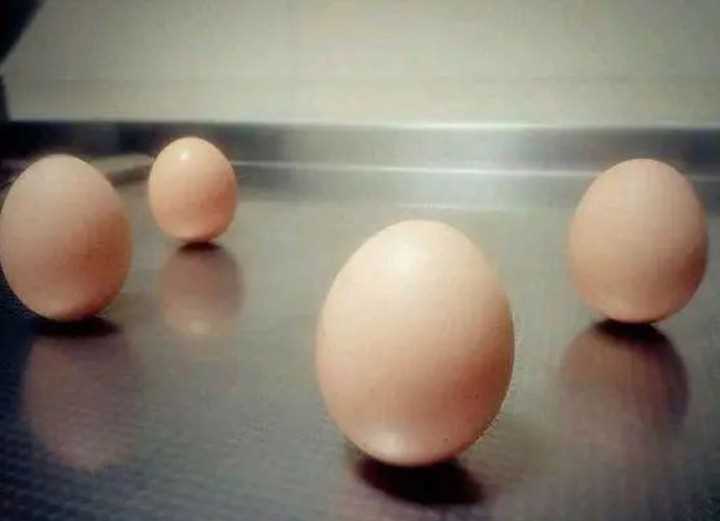 三月三煮鸡蛋是用什么草 三月三煮鸡蛋有什么作用