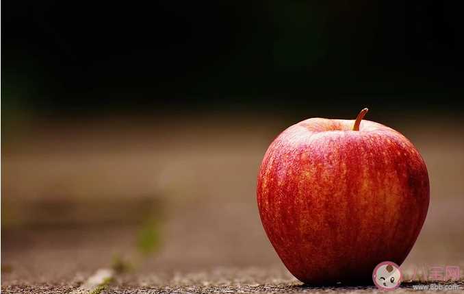 苹果减肥法有哪些副作用 苹果减肥法的副作用