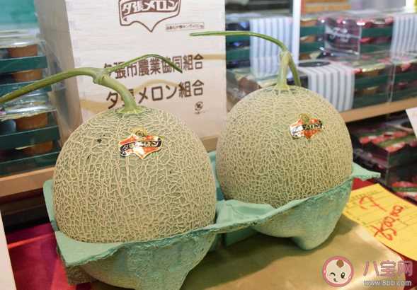 日本两个蜜瓜拍出16万是什么情况 夕张蜜瓜为什么卖这么贵