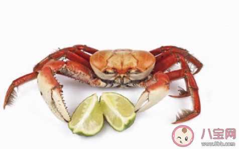 秋季哪些宝宝不宜吃螃蟹 宝宝吃螃蟹要注意些什么