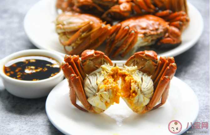 尿酸高能吃螃蟹吗 哪些人不宜吃螃蟹