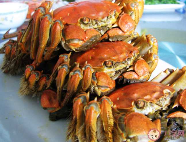 螃蟹胆固醇高不高 每天能吃多少螃蟹