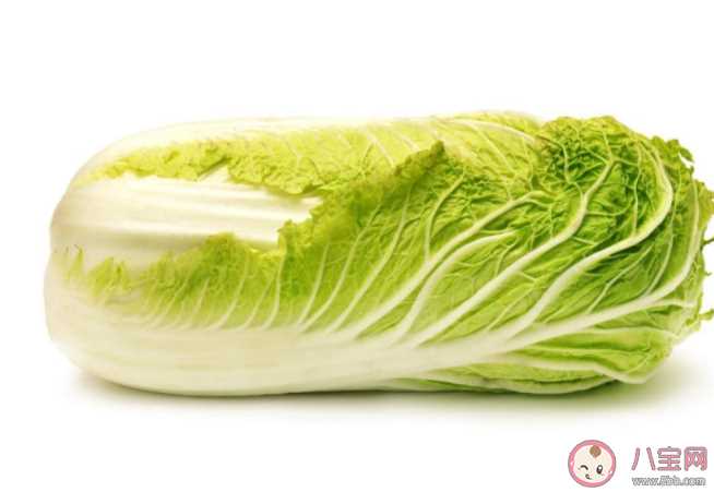 白菜长黑点还可以吃吗 大白菜青绿叶和黄白叶哪种更好吃