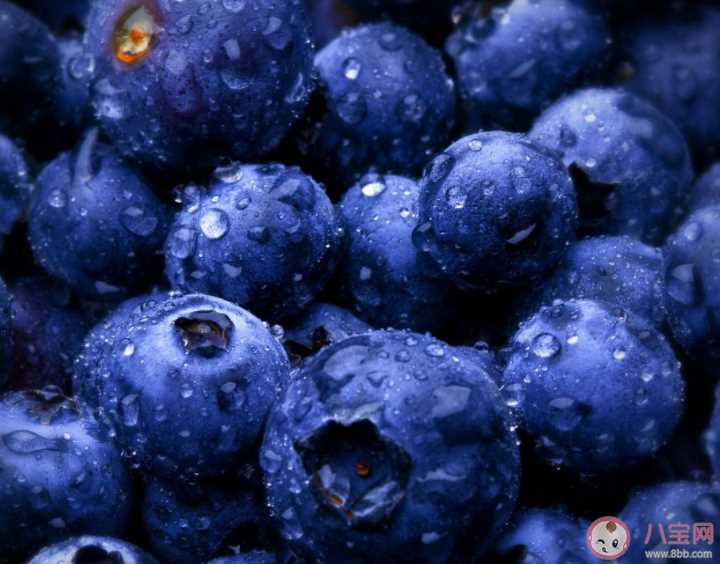蓝莓上面一层白色的东西是什么 蓝莓和蓝莓干功效一样吗