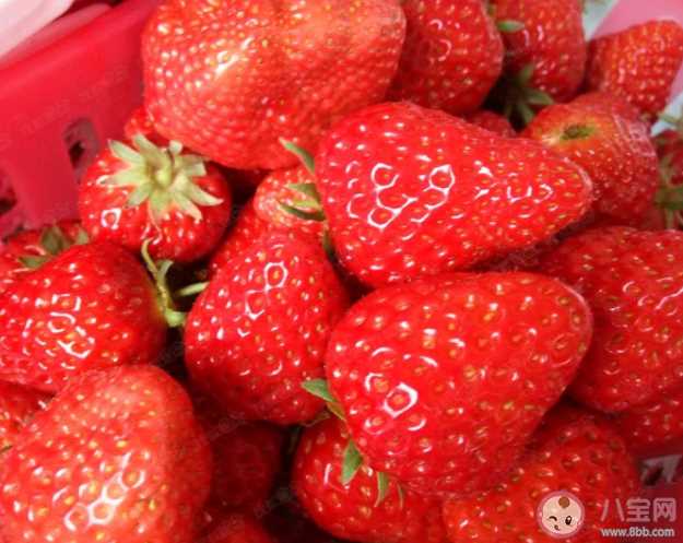 为什么丹东草莓特别好吃 如何购买到正宗的丹东99草莓