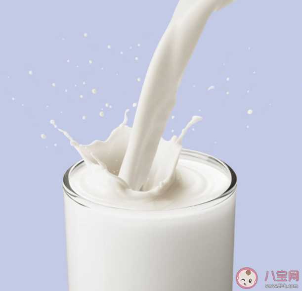 喝牛奶能养胃吗 牛奶怎么喝会伤身