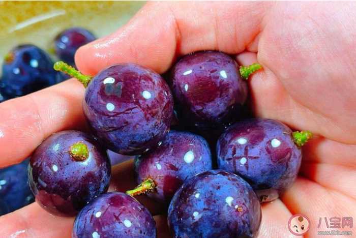 葡萄皮有什么营养价值 吃葡萄不吐葡萄籽可以美容吗