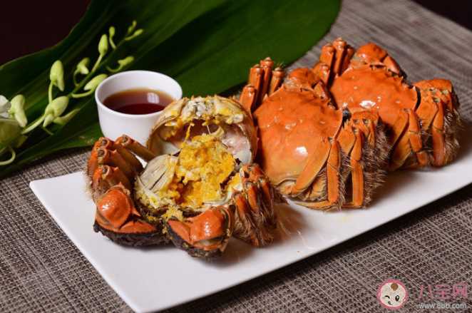 淡水蟹可以生腌食用吗 全国哪里的螃蟹最好吃