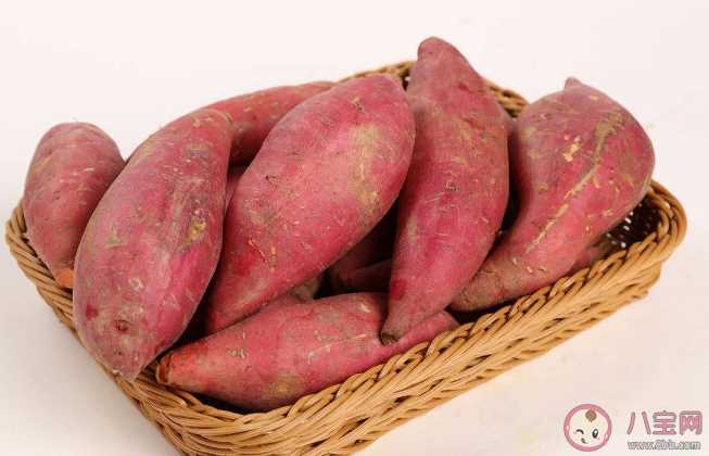 红薯发芽能吃吗 为什么吃了红薯之后总是放屁