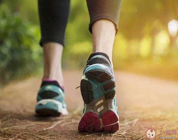 怎样走路能减肥 管住嘴迈开腿哪个更重要
