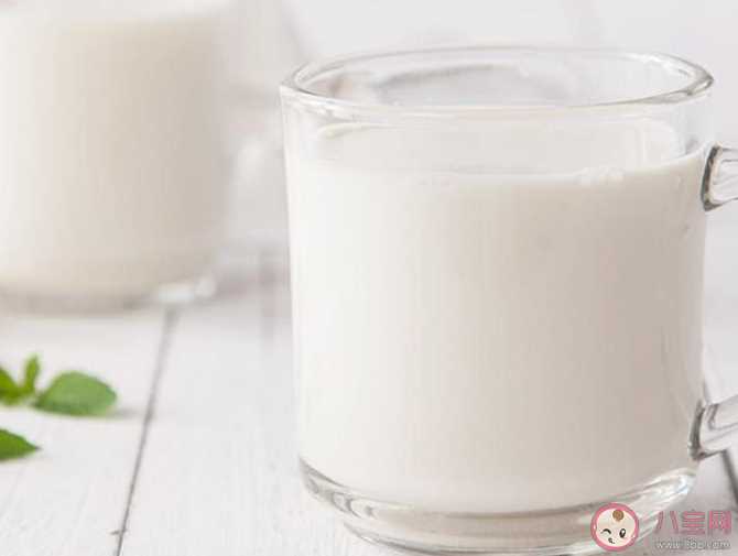 减肥期间能喝纯牛奶吗 减肥期间要多吃什么