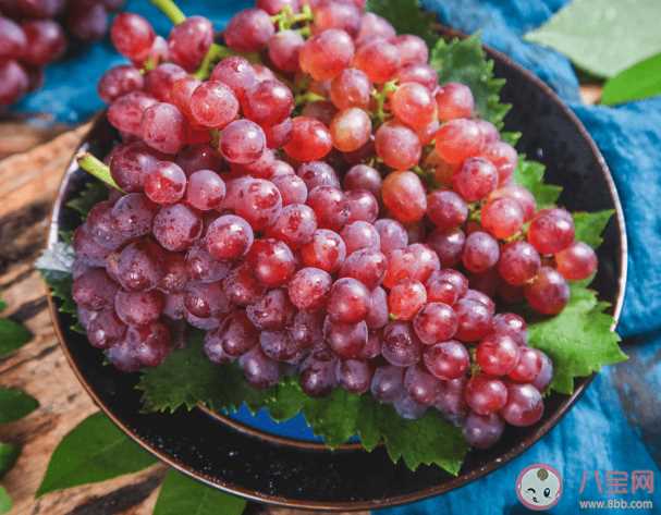 吃葡萄可以抵抗紫外线防晒吗 葡萄有哪些美味做法