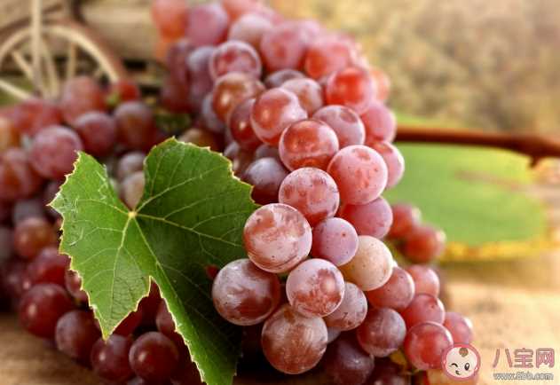 不同葡萄品种有什么区别 葡萄4不吃你知道吗