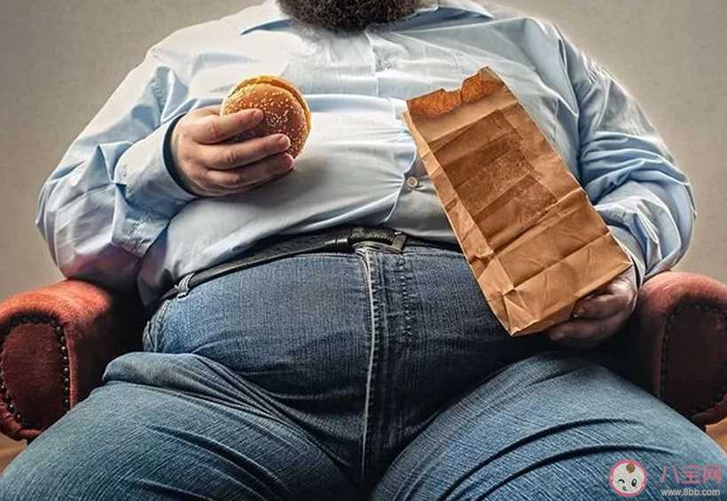 我国五成多成年人超重肥胖是真的吗 肥胖人群上升是什么原因
