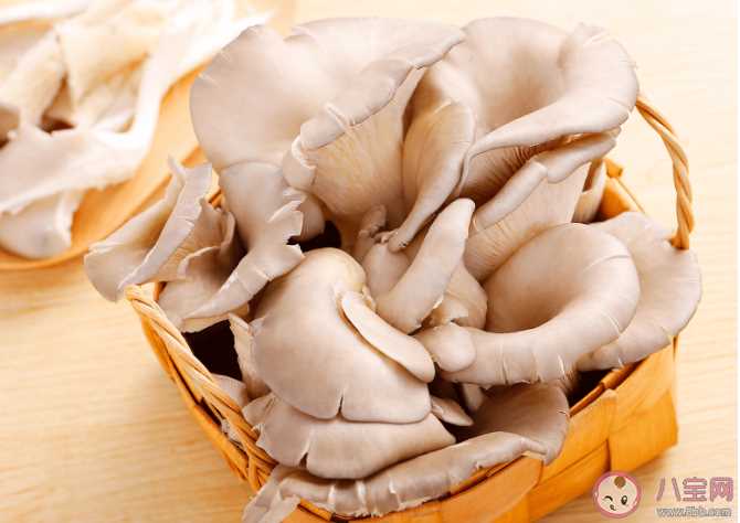不同蘑菇怎么吃有何禁忌 菌菇的鲜味来自哪