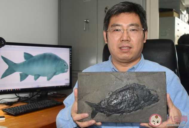 贵州发现2.44亿年前大型盘州