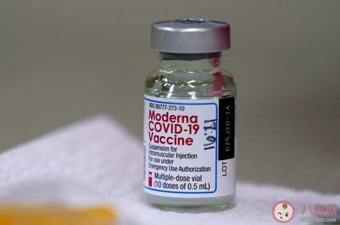 为什么约不到新冠疫苗 接种新冠疫苗前中后有哪些注