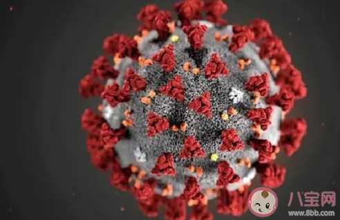 新研究发现冠状病毒的致命弱点是什么 这一发现有什