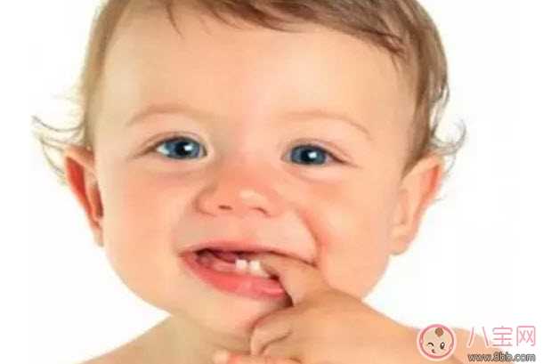 宝宝长牙期间吃什么好 宝宝长牙吃什么辅食食谱