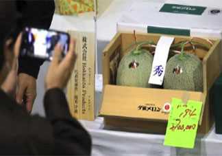 日本两个蜜瓜拍出16万是什么情况 夕张蜜瓜为什么卖