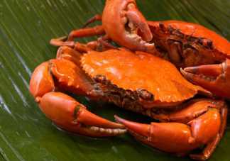 孕期吃螃蟹会导致流产吗 孕妇可以吃螃蟹吗