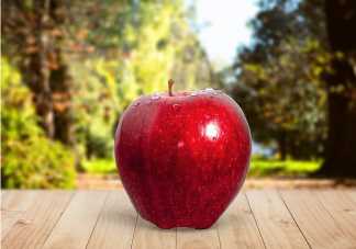 吃苹果真的可以减肥吗 什么