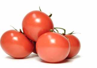 大小番茄哪个热量更高 小番