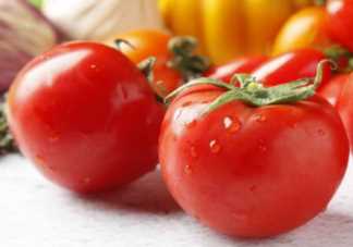 西红柿生吃美白还是熟吃美白