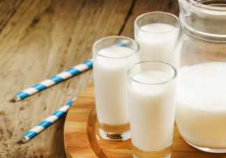 喝牛奶能养胃吗 牛奶怎么喝