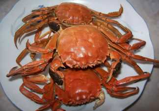 医生建议1顿饭吃螃蟹不超过2只 螃蟹食用过多有什么