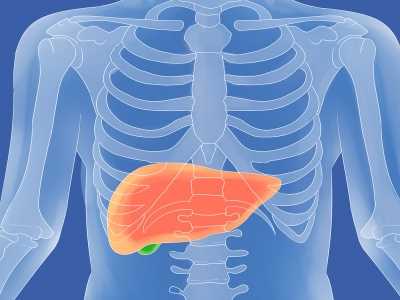 如何保肝养肝
