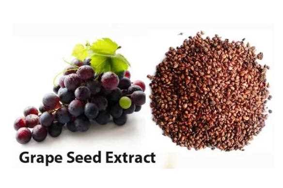 葡萄籽不能与什么同吃呢？食用