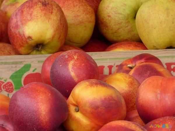 油桃油桃有补益气血、养阴生津的作用，少润肤养颜