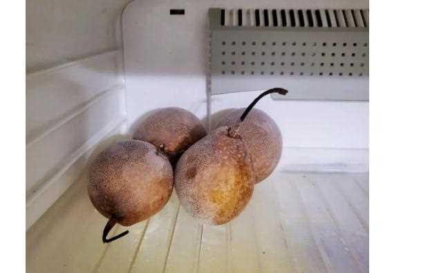 冰箱冻梨要冻多久呢？冻好的梨