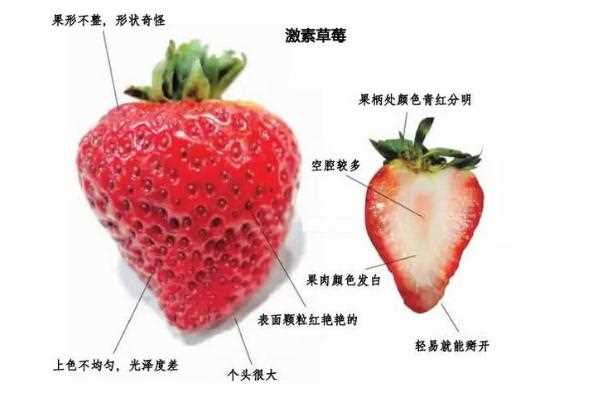 买新鲜草莓怎么挑选？草莓能带