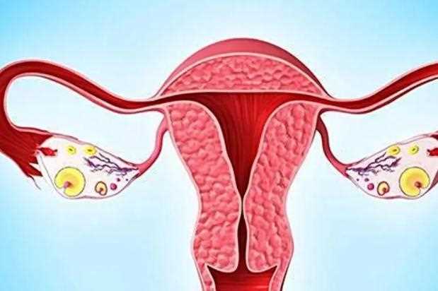 预防卵巢癌方法 ？卵巢癌吃什么可以预防？