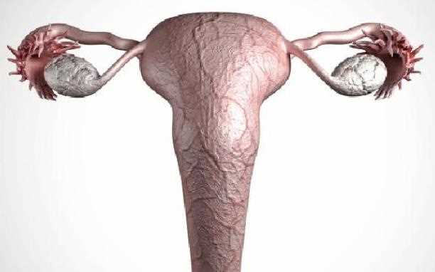 腹部有肿块是卵巢囊肿吗 卵巢囊肿会遗传吗
